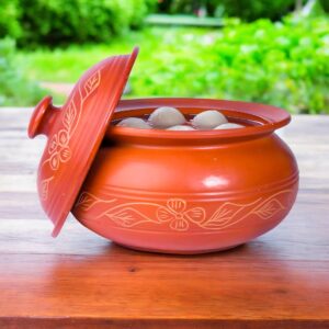 Mud Pot Cocopeat